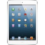  iPad Mini
